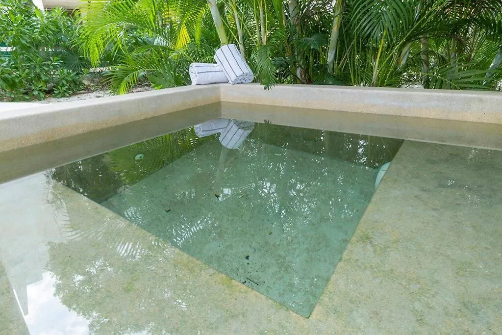 2 Bedroom Apartment + Private Pool And Roof Top Terrace トゥルム 0*,