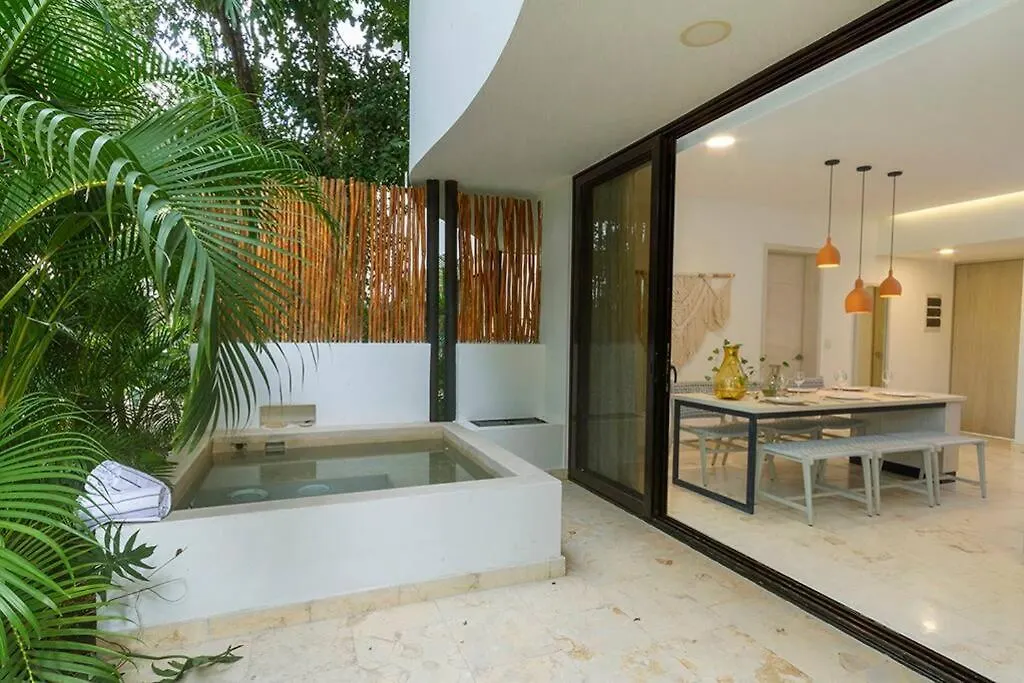 2 Bedroom Apartment + Private Pool And Roof Top Terrace トゥルム メキシコ